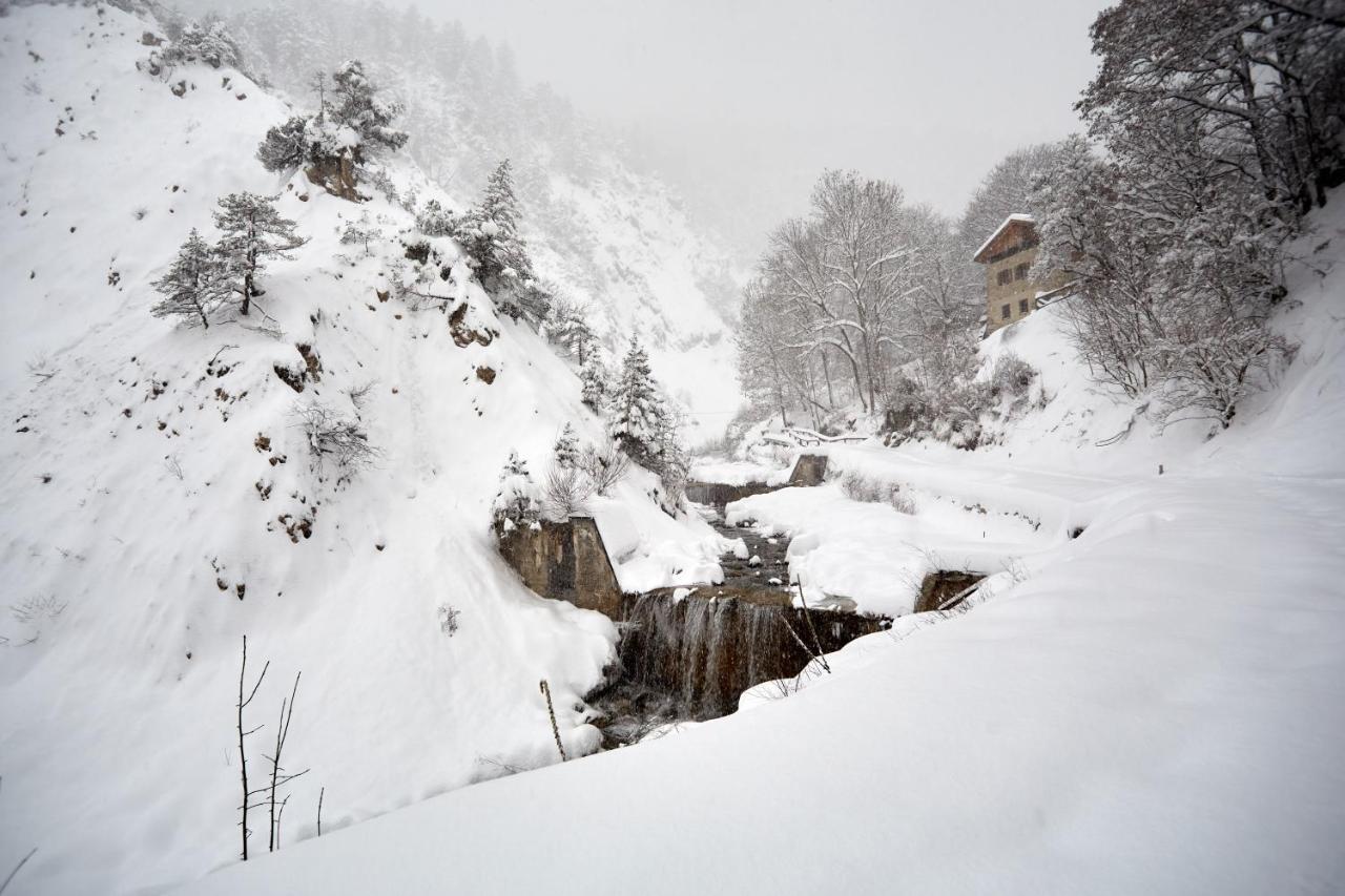 Casa Cadore Lozzo Cadore エクステリア 写真